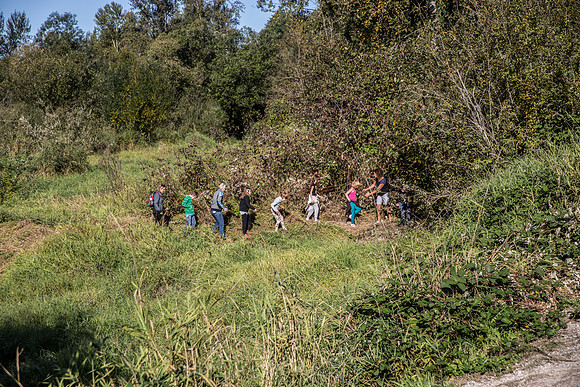 SILVERDALE CREEK WETLANDS- PSF-118