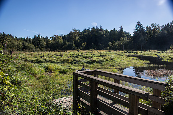 SILVERDALE CREEK WETLANDS- PSF-120