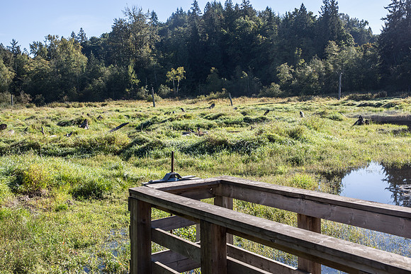 SILVERDALE CREEK WETLANDS- PSF-121