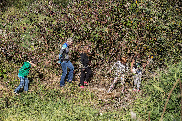 SILVERDALE CREEK WETLANDS- PSF-117