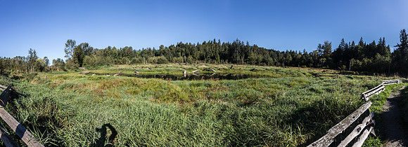 SILVERDALE CREEK WETLANDS- PSF-114