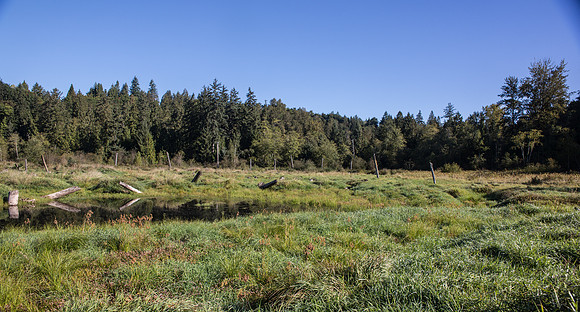 SILVERDALE CREEK WETLANDS- PSF-112