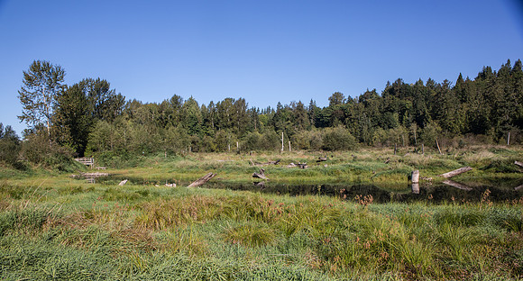 SILVERDALE CREEK WETLANDS- PSF-110