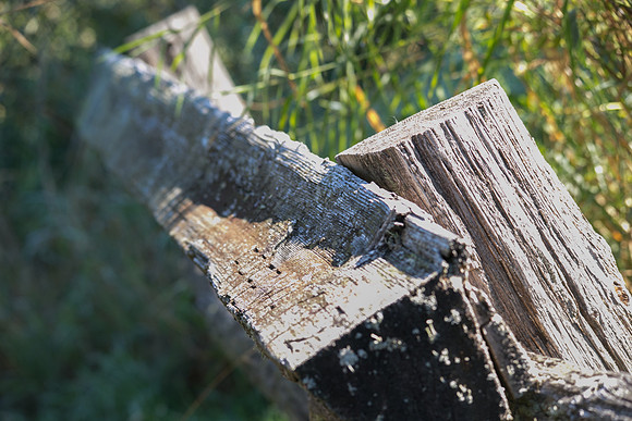 SILVERDALE CREEK WETLANDS- PSF-107