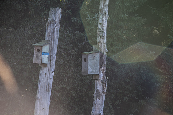 SILVERDALE CREEK WETLANDS- PSF-106