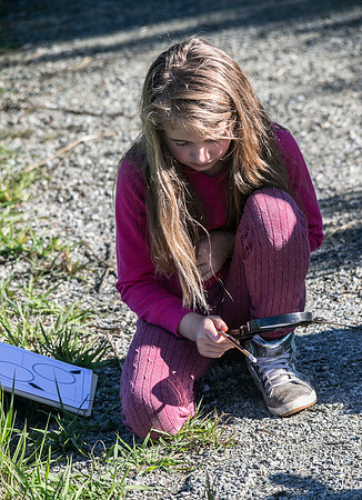SILVERDALE CREEK WETLANDS- PSF-102