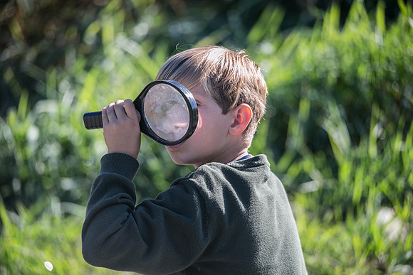 SILVERDALE CREEK WETLANDS- PSF-99