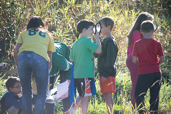 SILVERDALE CREEK WETLANDS- PSF-96
