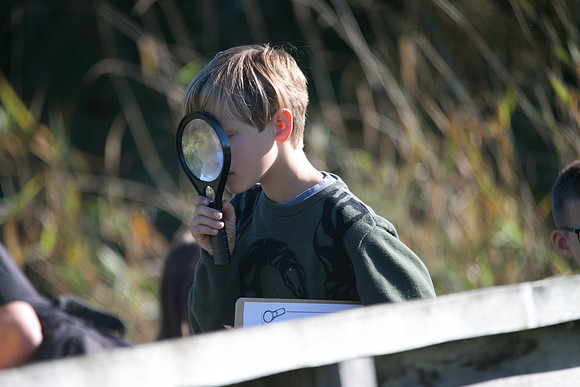 SILVERDALE CREEK WETLANDS- PSF-97