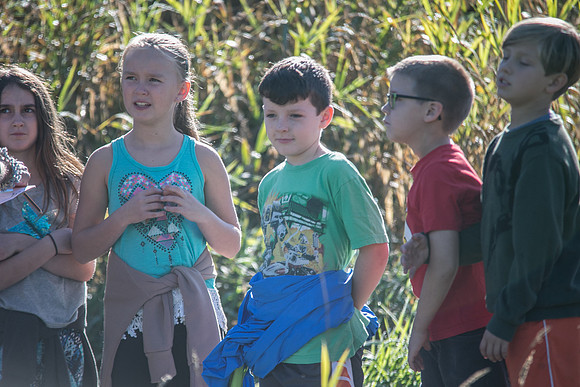 SILVERDALE CREEK WETLANDS- PSF-93