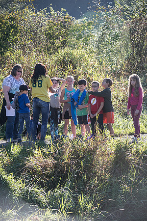 SILVERDALE CREEK WETLANDS- PSF-94
