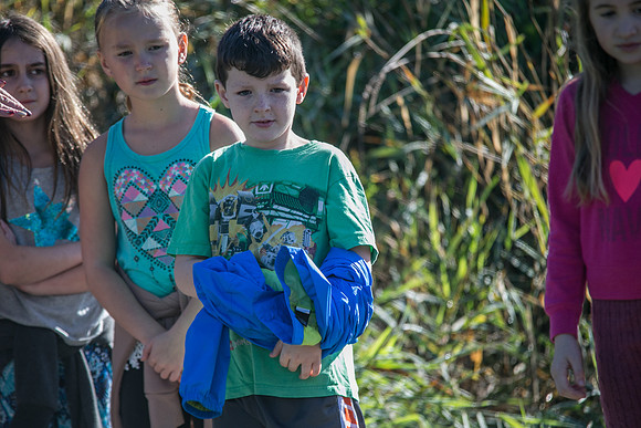 SILVERDALE CREEK WETLANDS- PSF-91