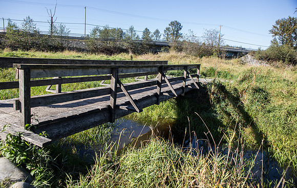SILVERDALE CREEK WETLANDS- PSF-90