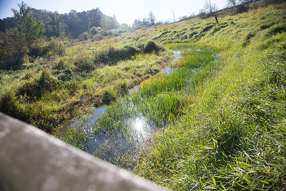 SILVERDALE CREEK WETLANDS- PSF-88