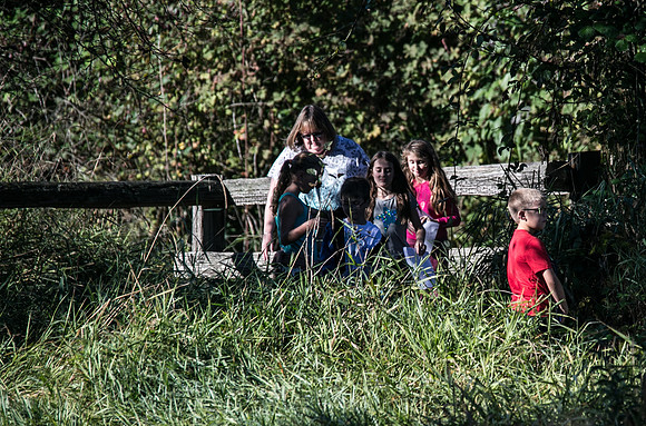 SILVERDALE CREEK WETLANDS- PSF-86