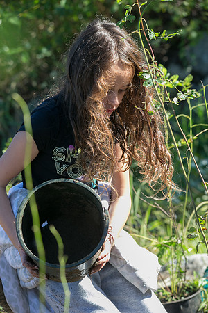SILVERDALE CREEK WETLANDS- PSF-80