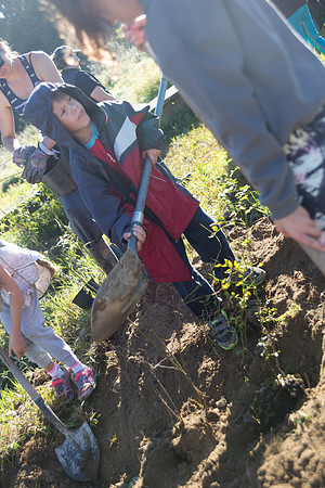 SILVERDALE CREEK WETLANDS- PSF-78