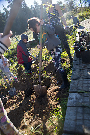 SILVERDALE CREEK WETLANDS- PSF-73