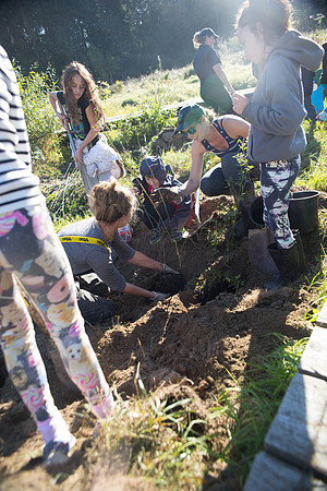 SILVERDALE CREEK WETLANDS- PSF-70