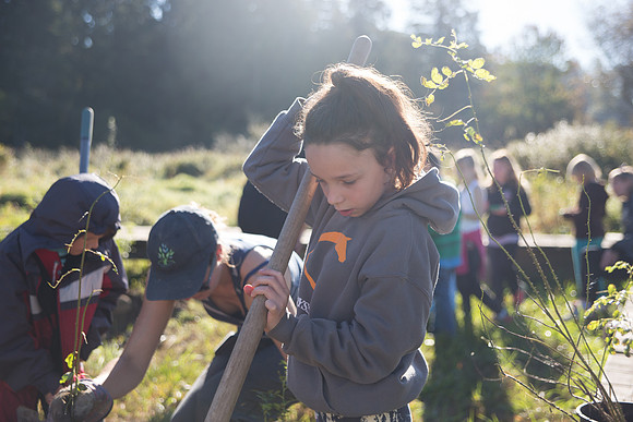 SILVERDALE CREEK WETLANDS- PSF-71