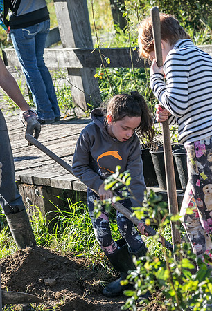 SILVERDALE CREEK WETLANDS- PSF-59