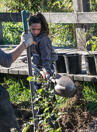 SILVERDALE CREEK WETLANDS- PSF-57