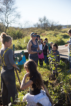 SILVERDALE CREEK WETLANDS- PSF-55