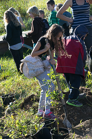 SILVERDALE CREEK WETLANDS- PSF-56