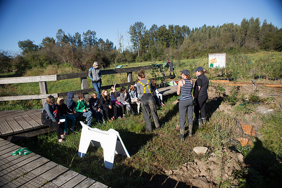 SILVERDALE CREEK WETLANDS- PSF-49