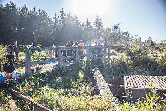 SILVERDALE CREEK WETLANDS- PSF-44
