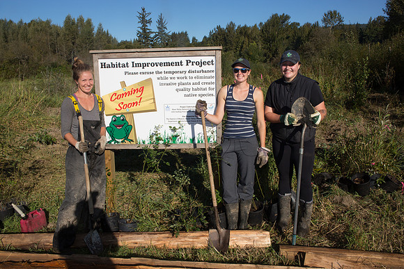 SILVERDALE CREEK WETLANDS- PSF-45