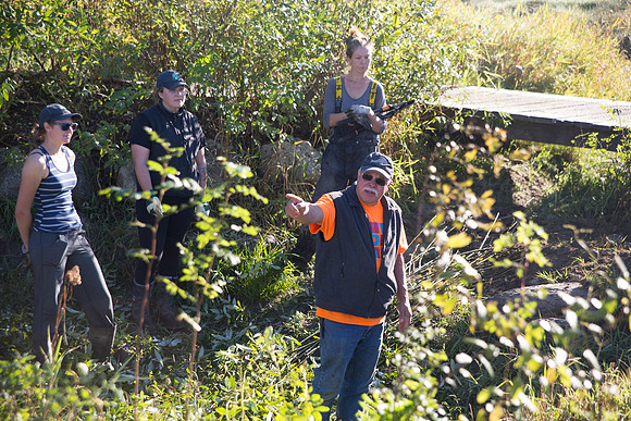 SILVERDALE CREEK WETLANDS- PSF-41