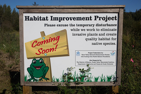 SILVERDALE CREEK WETLANDS- PSF-39