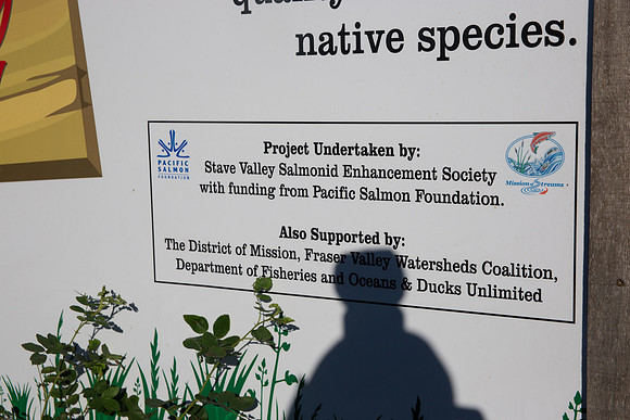 SILVERDALE CREEK WETLANDS- PSF-40