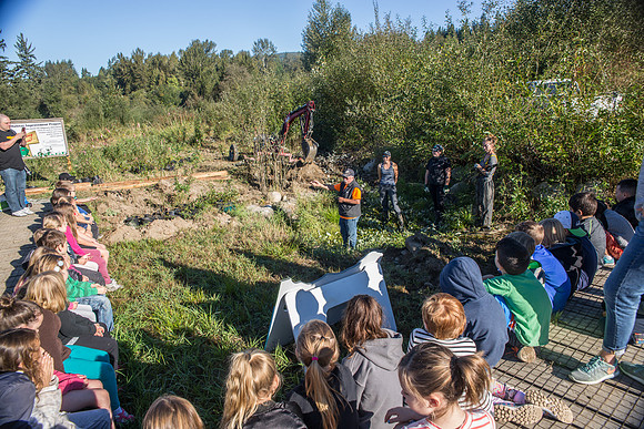 SILVERDALE CREEK WETLANDS- PSF-37
