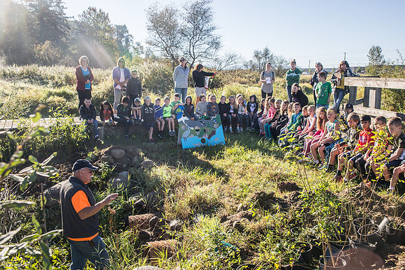 SILVERDALE CREEK WETLANDS- PSF-35