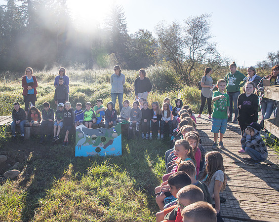 SILVERDALE CREEK WETLANDS- PSF-32