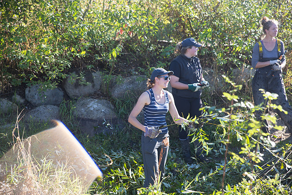 SILVERDALE CREEK WETLANDS- PSF-29