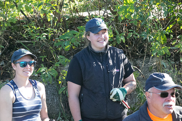 SILVERDALE CREEK WETLANDS- PSF-27