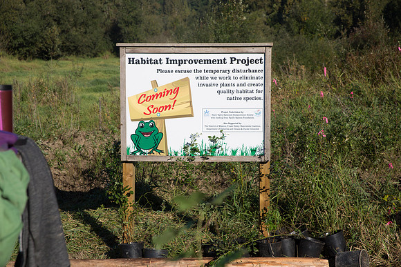 SILVERDALE CREEK WETLANDS- PSF-24