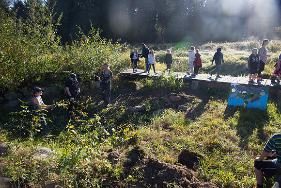 SILVERDALE CREEK WETLANDS- PSF-25