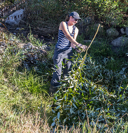 SILVERDALE CREEK WETLANDS- PSF-23