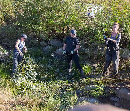 SILVERDALE CREEK WETLANDS- PSF-22
