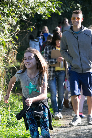 SILVERDALE CREEK WETLANDS- PSF-20
