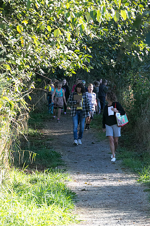 SILVERDALE CREEK WETLANDS- PSF-18