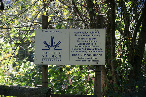 SILVERDALE CREEK WETLANDS- PSF-4