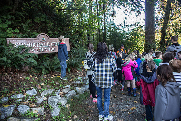 SILVERDALE CREEK WETLANDS- PSF