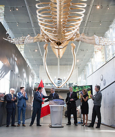 MINISTER ANNOUNCEMENT-RECEPTION - PSF-19