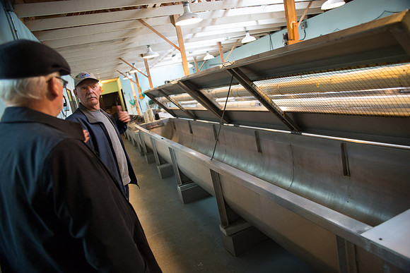 PSF - TYNEHEAD HATCHERY - MP Ken Hardie-68