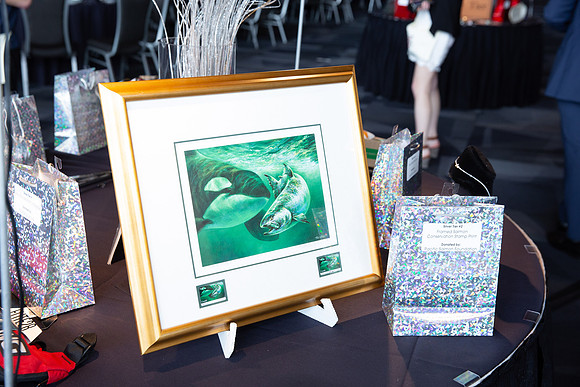 4-SETUP-PSF GALA 2022-418